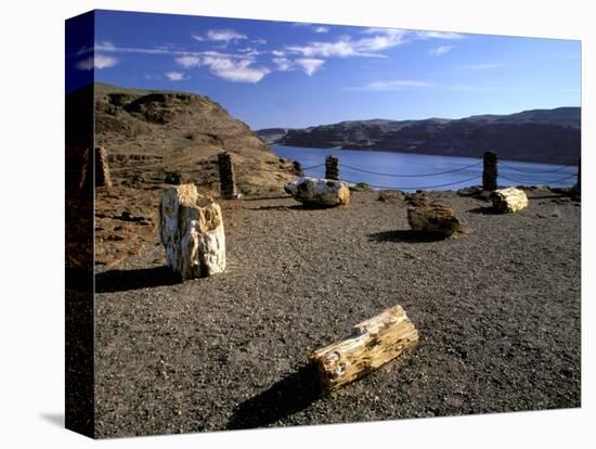 View of Columbia River, Ginkgo Petrified Forest State Park, Vantage, Washington, USA-Jamie & Judy Wild-Stretched Canvas