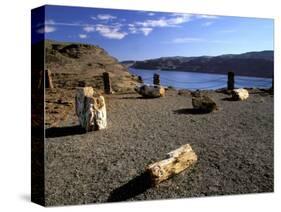 View of Columbia River, Ginkgo Petrified Forest State Park, Vantage, Washington, USA-Jamie & Judy Wild-Stretched Canvas