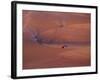 View of Combines Harvesting Wheat, Palouse, Washington, USA-Terry Eggers-Framed Photographic Print