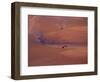 View of Combines Harvesting Wheat, Palouse, Washington, USA-Terry Eggers-Framed Photographic Print