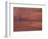 View of Combines Harvesting Wheat, Palouse, Washington, USA-Terry Eggers-Framed Photographic Print