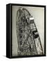 View of Coney Island Ferris Wheel-null-Framed Stretched Canvas