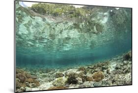 View of coral reef habitat in shallows, Potato Point, Fiabacet Island, West Papua-Colin Marshall-Mounted Photographic Print