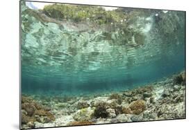 View of coral reef habitat in shallows, Potato Point, Fiabacet Island, West Papua-Colin Marshall-Mounted Photographic Print