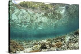 View of coral reef habitat in shallows, Potato Point, Fiabacet Island, West Papua-Colin Marshall-Stretched Canvas