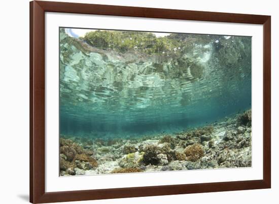 View of coral reef habitat in shallows, Potato Point, Fiabacet Island, West Papua-Colin Marshall-Framed Photographic Print