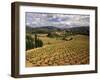 View of Corbieres Vineyard, Darban-Corbieres, Aude, Languedoc, France-David Barnes-Framed Premium Photographic Print