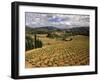 View of Corbieres Vineyard, Darban-Corbieres, Aude, Languedoc, France-David Barnes-Framed Premium Photographic Print