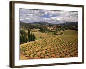 View of Corbieres Vineyard, Darban-Corbieres, Aude, Languedoc, France-David Barnes-Framed Photographic Print