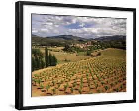 View of Corbieres Vineyard, Darban-Corbieres, Aude, Languedoc, France-David Barnes-Framed Photographic Print