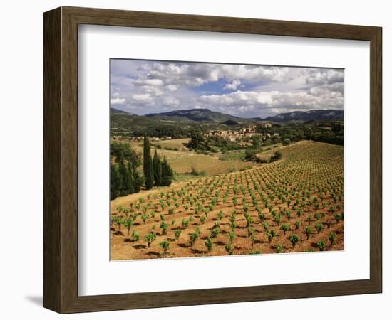 View of Corbieres Vineyard, Darban-Corbieres, Aude, Languedoc, France-David Barnes-Framed Photographic Print