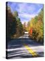 View of Country Road, Fall Foliage, Northeast Kingdom, Vermont, USA-Walter Bibikow-Stretched Canvas