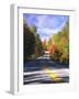 View of Country Road, Fall Foliage, Northeast Kingdom, Vermont, USA-Walter Bibikow-Framed Photographic Print