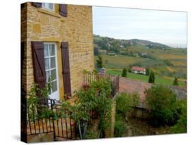 View of Countryside in Olingt, Burgundy, France-Lisa S. Engelbrecht-Stretched Canvas