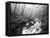 View of Cove Creek Covered with Fog, Pisgah National Forest, North Carolina, USA-Adam Jones-Framed Stretched Canvas