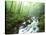 View of Cove Creek Covered with Fog, Pisgah National Forest, North Carolina, USA-Adam Jones-Stretched Canvas