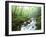 View of Cove Creek Covered with Fog, Pisgah National Forest, North Carolina, USA-Adam Jones-Framed Premium Photographic Print