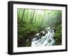 View of Cove Creek Covered with Fog, Pisgah National Forest, North Carolina, USA-Adam Jones-Framed Photographic Print