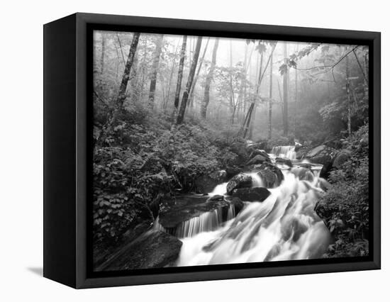 View of Cove Creek Covered with Fog, Pisgah National Forest, North Carolina, USA-Adam Jones-Framed Stretched Canvas