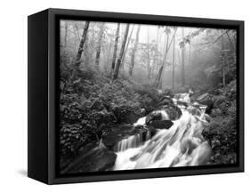 View of Cove Creek Covered with Fog, Pisgah National Forest, North Carolina, USA-Adam Jones-Framed Stretched Canvas