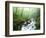 View of Cove Creek Covered with Fog, Pisgah National Forest, North Carolina, USA-Adam Jones-Framed Photographic Print