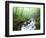 View of Cove Creek Covered with Fog, Pisgah National Forest, North Carolina, USA-Adam Jones-Framed Photographic Print