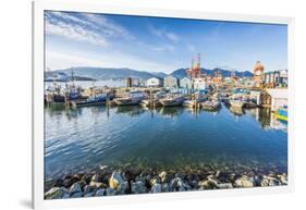 View of cruise ship and boats moored in harbour near CRAB Park at Portside, Vancouver, British Colu-Frank Fell-Framed Photographic Print