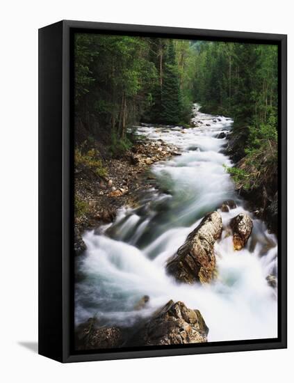 View of Crystal River Colorado, Gunnison National Forest, Colorado, USA-Adam Jones-Framed Stretched Canvas