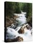 View of Crystal River Colorado, Gunnison National Forest, Colorado, USA-Adam Jones-Stretched Canvas