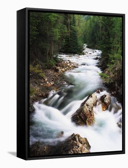 View of Crystal River Colorado, Gunnison National Forest, Colorado, USA-Adam Jones-Framed Stretched Canvas