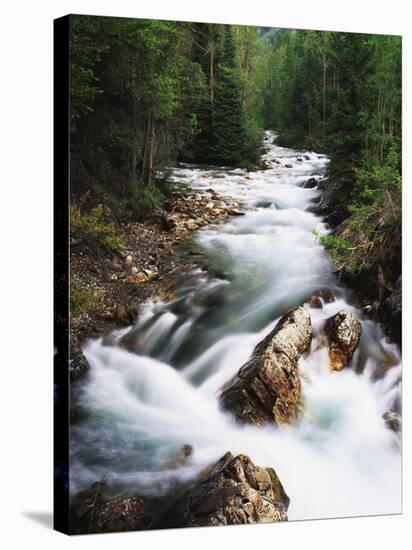 View of Crystal River Colorado, Gunnison National Forest, Colorado, USA-Adam Jones-Stretched Canvas