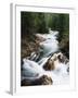 View of Crystal River Colorado, Gunnison National Forest, Colorado, USA-Adam Jones-Framed Premium Photographic Print