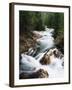 View of Crystal River Colorado, Gunnison National Forest, Colorado, USA-Adam Jones-Framed Premium Photographic Print