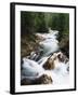 View of Crystal River Colorado, Gunnison National Forest, Colorado, USA-Adam Jones-Framed Premium Photographic Print