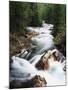 View of Crystal River Colorado, Gunnison National Forest, Colorado, USA-Adam Jones-Mounted Premium Photographic Print