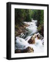 View of Crystal River Colorado, Gunnison National Forest, Colorado, USA-Adam Jones-Framed Photographic Print