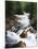 View of Crystal River Colorado, Gunnison National Forest, Colorado, USA-Adam Jones-Mounted Photographic Print