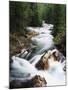 View of Crystal River Colorado, Gunnison National Forest, Colorado, USA-Adam Jones-Mounted Photographic Print