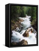 View of Crystal River Colorado, Gunnison National Forest, Colorado, USA-Adam Jones-Framed Stretched Canvas