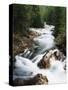 View of Crystal River Colorado, Gunnison National Forest, Colorado, USA-Adam Jones-Stretched Canvas