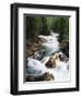 View of Crystal River Colorado, Gunnison National Forest, Colorado, USA-Adam Jones-Framed Photographic Print