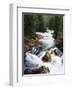 View of Crystal River Colorado, Gunnison National Forest, Colorado, USA-Adam Jones-Framed Photographic Print