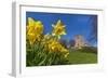 View of daffodils and St. Leonard's Church, Scarcliffe near Chesterfield, Derbyshire, England-Frank Fell-Framed Photographic Print