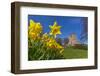 View of daffodils and St. Leonard's Church, Scarcliffe near Chesterfield, Derbyshire, England-Frank Fell-Framed Photographic Print