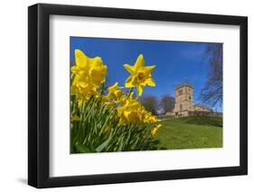 View of daffodils and St. Leonard's Church, Scarcliffe near Chesterfield, Derbyshire, England-Frank Fell-Framed Photographic Print