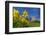 View of daffodils and St. Leonard's Church, Scarcliffe near Chesterfield, Derbyshire, England-Frank Fell-Framed Photographic Print