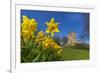 View of daffodils and St. Leonard's Church, Scarcliffe near Chesterfield, Derbyshire, England-Frank Fell-Framed Photographic Print