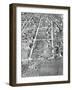 View of Damaged Landscape due to Tornado-null-Framed Photographic Print