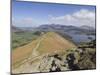 View of Derwent Water from Catbells, Lake District National Park, Cumbria, England-Neale Clarke-Mounted Photographic Print