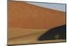 View of desert sand dune habitat, sunlit tree against shadow, Sossusvlei, Namib Desert-Shem Compion-Mounted Photographic Print